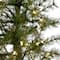 3ft. Pre-Lit Artificial Christmas Tree in Burlap Base, Clear LED Lights